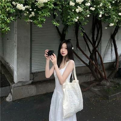 维多利亚瀑布事件